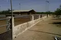 Дом 4 комнаты  Эльче, Испания