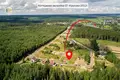 Atterrir  Zdanovicki sielski Saviet, Bélarus