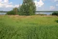 Land  Svirski sielski Saviet, Belarus