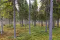 Ferienhaus 3 zimmer 54 m² Rovaniemi sub region, Finnland