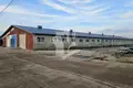 Manufacture 3 rooms 600 m² in Aronava Slabada, Belarus
