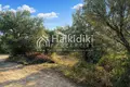Земельные участки 2 510 м² Амолиани/Амулиани/Амульяни/Аммулияни, Греция