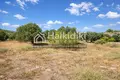 Atterrir 15 000 m² Pefkochori, Grèce