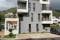2 bedroom apartment 66 m² Montenegro, Montenegro