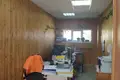 Gewerbefläche 290 m² Orscha, Belarus