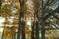 Вилла 12 комнат 1 250 м² Vandzenes pagasts, Латвия