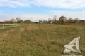 Grundstück  Turna Vialikaja, Belarus