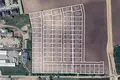 Parcelas 678 m² Tarnowo Podgorne, Polonia
