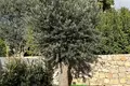 Дом 4 спальни 463 м² Loule, Португалия
