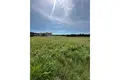 Land 5 832 m² Opcina Barban, Croatia