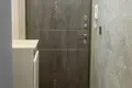 1 room apartment 20 m² Fanipal, Belarus
