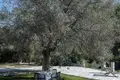 Villa de tres dormitorios 150 m² Kalandra, Grecia