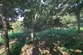 Земельные участки  Салибаури, Грузия