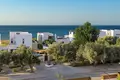 Квартира 4 комнаты 276 м² Androlikou, Кипр