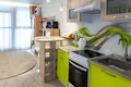 1 room apartment 31 m² Minsk, Belarus