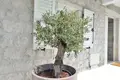 Квартира 1 спальня 57 м² Пераст, Черногория