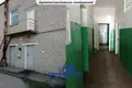 Produktion 690 m² Swetlahorsk, Belarus