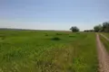 Земельные участки  Большая Балка, Украина