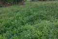 Land  Isnaudas pagasts, Latvia