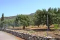 Land 1 room  Municipality of Sitia, Greece
