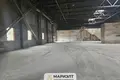Manufacture 2 rooms 5 000 m² in Radaskovicki sielski Saviet, Belarus