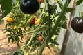 5 bedroom house 208 m² Boguti, Montenegro