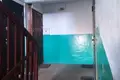 Wohnung 3 zimmer 52 m² Rakaw, Belarus