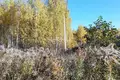 Atterrir 1 300 m² gorodskoj okrug Bor, Russie