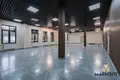 Commercial property 25 rooms 224 m² in Minsk, Belarus