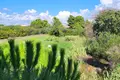 FAZANA, Istrien - Haus mit 5 Apartments & Meerblick & Pool für Tourismusinvestoren