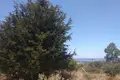 Земельные участки  Греция, Греция