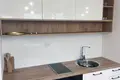 2 room apartment  in Budva, Montenegro