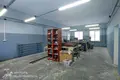 Gewerbefläche 744 m² Pleschtschanizy, Belarus