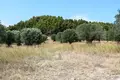 Atterrir 1 chambre  Skala Fourkas, Grèce