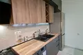 1 bedroom rent in park hill saburtalo
