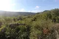 Земельные участки  Радановичи, Черногория
