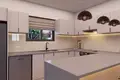 Villa 4 chambres 142 m² Pólis, Chypre