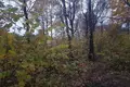Parcelas  Odincovskij gorodskoj okrug, Rusia