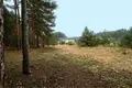 Działki 20 624 m² Wrabczynek, Polska