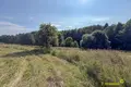 Дом 76 м² Путчинский сельский Совет, Беларусь