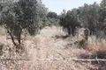 Land 847 m² Zeytinler Mahallesi, Turkey