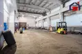 Office 30 m² in Aresniki, Belarus