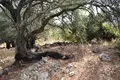 Land 1 room 6 500 m² Kariotiko, Greece