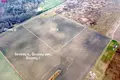 Land  Sirvintos, Lithuania
