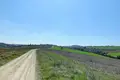 Działki 1 pokój 22 000 m² Plagiari, Grecja