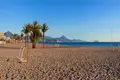 Attique 4 chambres 333 m² Alicante, Espagne