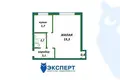 Apartamento 1 habitación 31 m² Minsk, Belarús