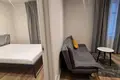 Dochodowa nieruchomość 610 m² Ryga, Łotwa