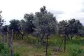 Land 1 room  Municipality of Malevizi, Greece