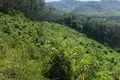 Land  Ban Nam Chuet, Thailand